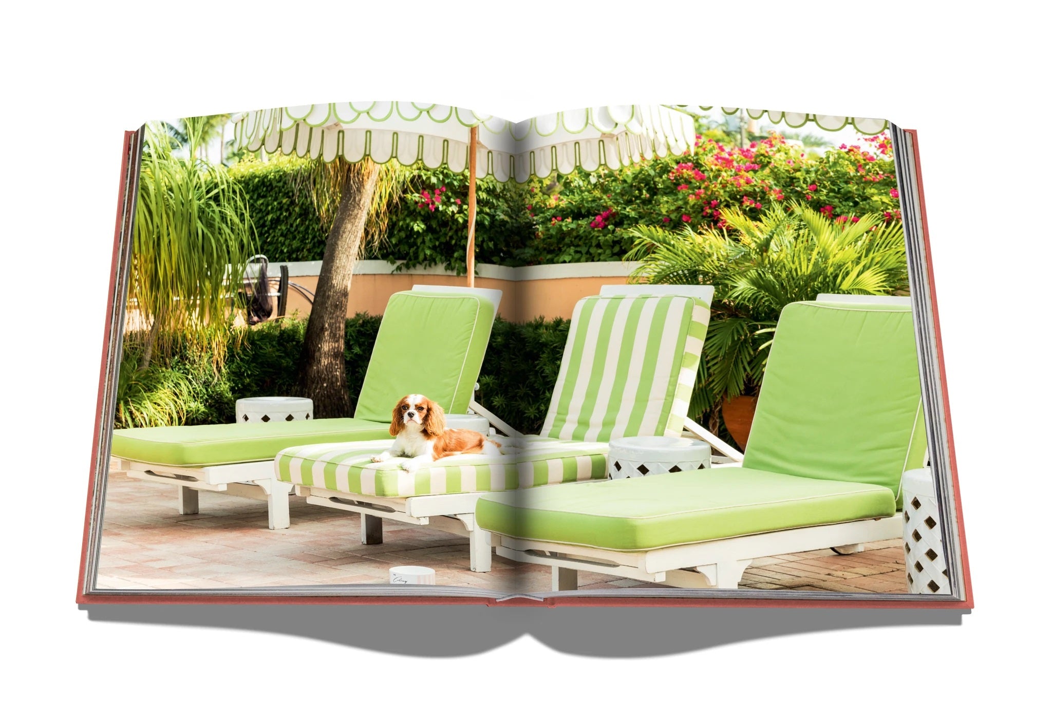 Palm Beach, Assouline