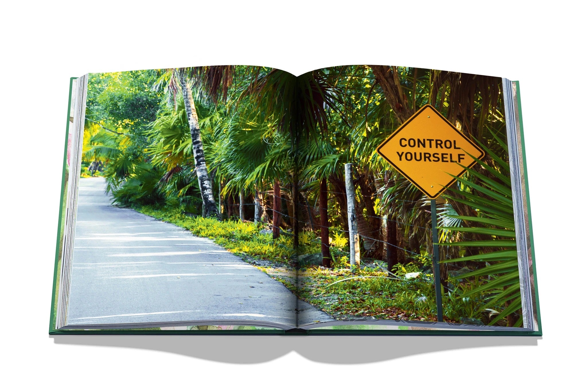 Tulum Gypset, Assouline